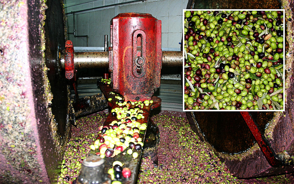 Terre di Trente - Trente and Filip